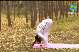 从零开始学瑜伽-04跪姿练习